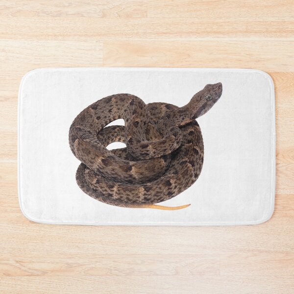 Item preview, Grage (Bothrops atrox) Guyana designed and sold by vincentpremel.
