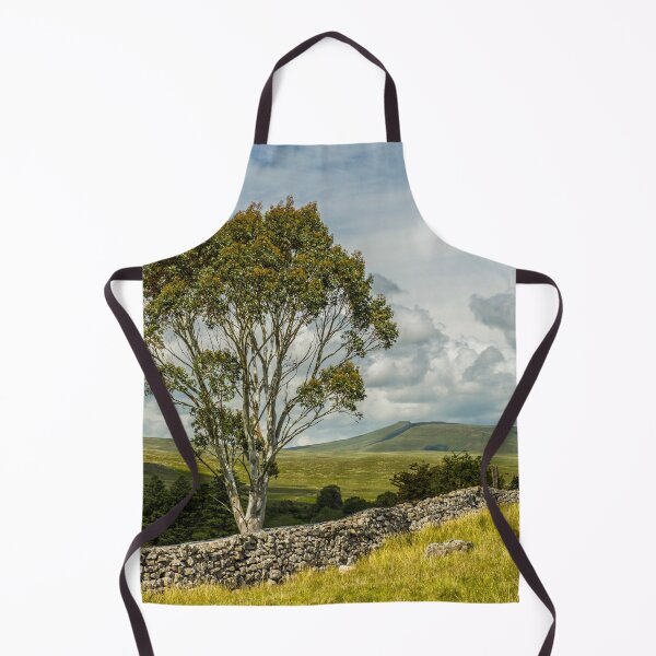 Item preview, A solitary Eucalyptus Tree in the Central Brecon Beacons near the village of Penderyn. designed and sold by Cameranick.
