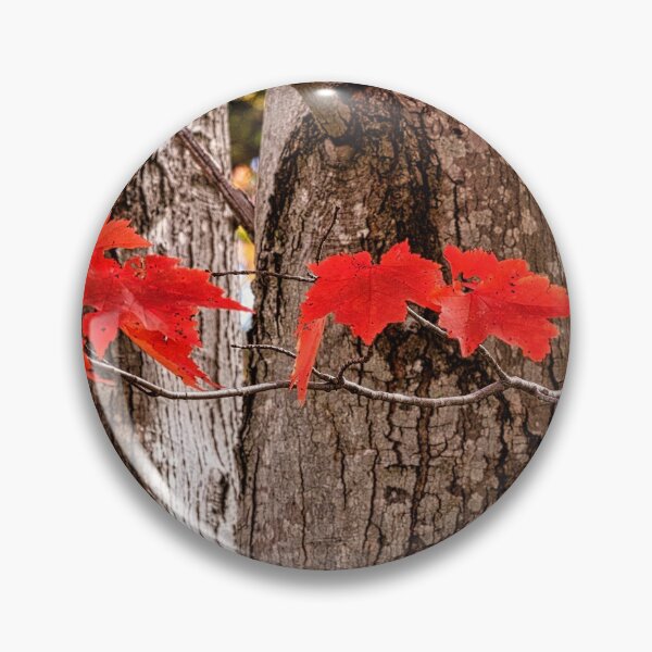 Item preview, Maple Foliage designed and sold by NebulaStudiosTB.