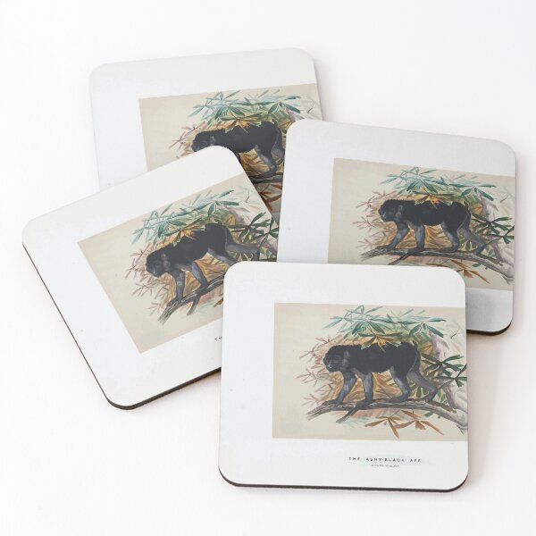 Item preview, Zoological sketches by Joseph Wolf 1861 to 1867 051 The Ashy Black Ape designed and sold by WetdryvacRB01.