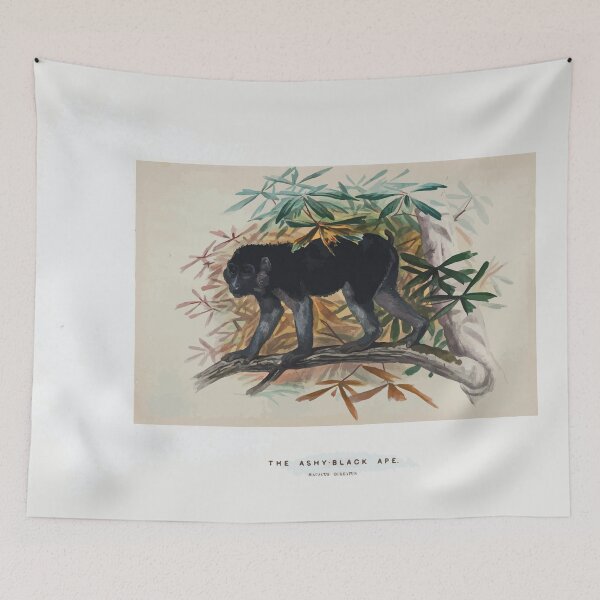Item preview, Zoological sketches by Joseph Wolf 1861 to 1867 051 The Ashy Black Ape designed and sold by WetdryvacRB01.