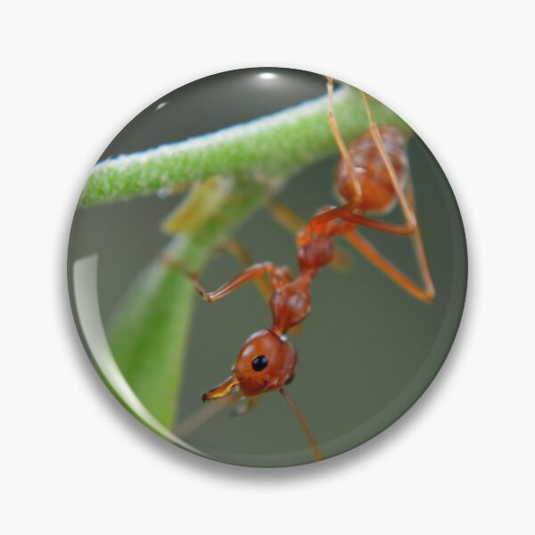 Item preview, red ant designed and sold by michelle meenawong.
