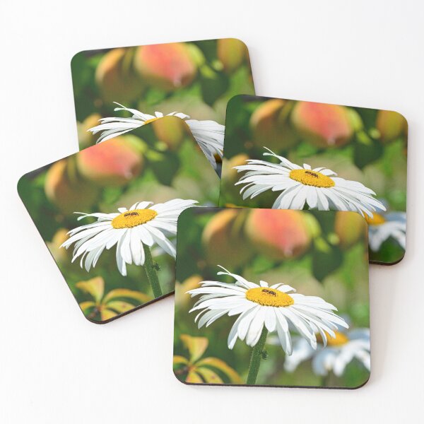 Item preview, A Bee Among The Shasta Daisies designed and sold by LisaWootenPhoto.