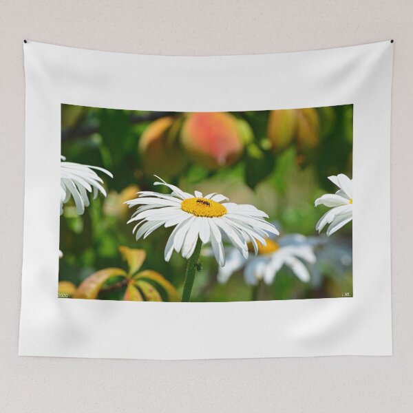 Item preview, A Bee Among The Shasta Daisies designed and sold by LisaWootenPhoto.