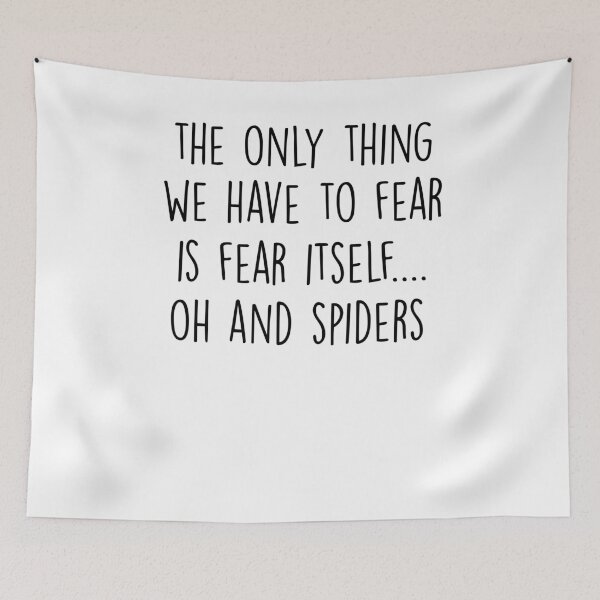 Item preview, the only thing we have to fear is fear itself oh and spiders designed and sold by Noussairox.