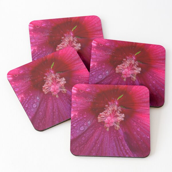 Item preview, A Dewey Hibiscus designed and sold by LisaWootenPhoto.