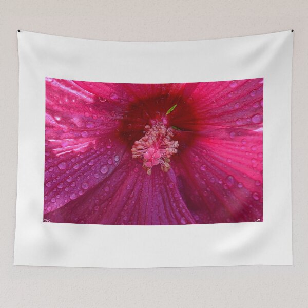 Item preview, A Dewey Hibiscus designed and sold by LisaWootenPhoto.