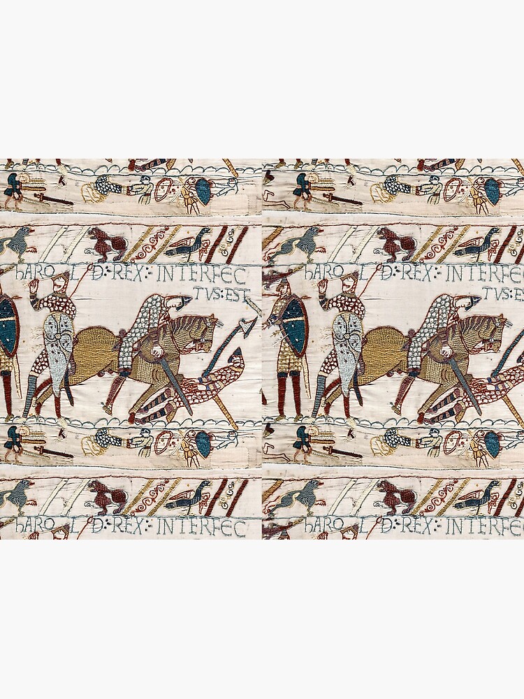 Bayeux Tapestry. King Harold is killed. Arrow in eye. by TOMSREDBUBBLE