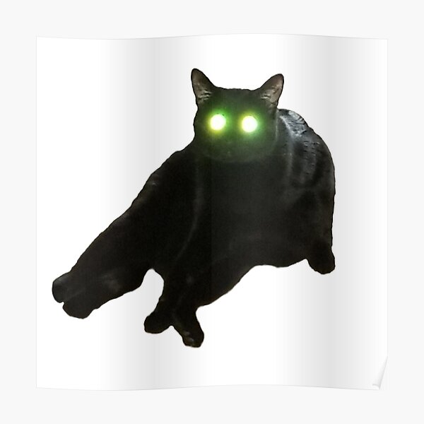 poster blitz katze redbubble