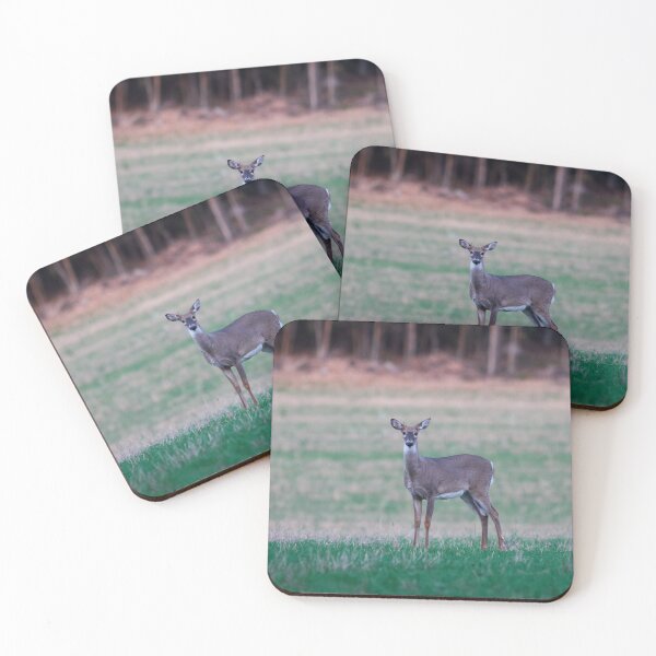 Item preview, The Chokolade prince. Virginia deer designed and sold by Jouko Lehto Photography.