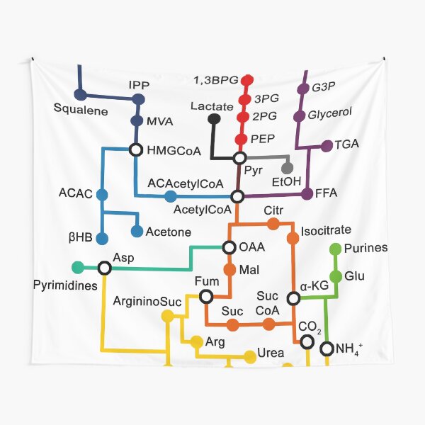 Metabolic subway Tapestry