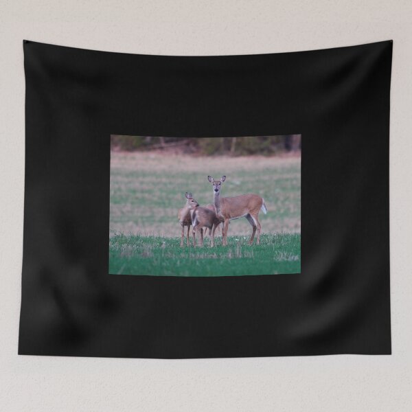 Item preview, The kids are so restless. Virginia deer designed and sold by Jouko Lehto Photography.