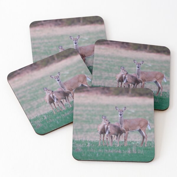 Item preview, The kids are so restless. Virginia deer designed and sold by Jouko Lehto Photography.