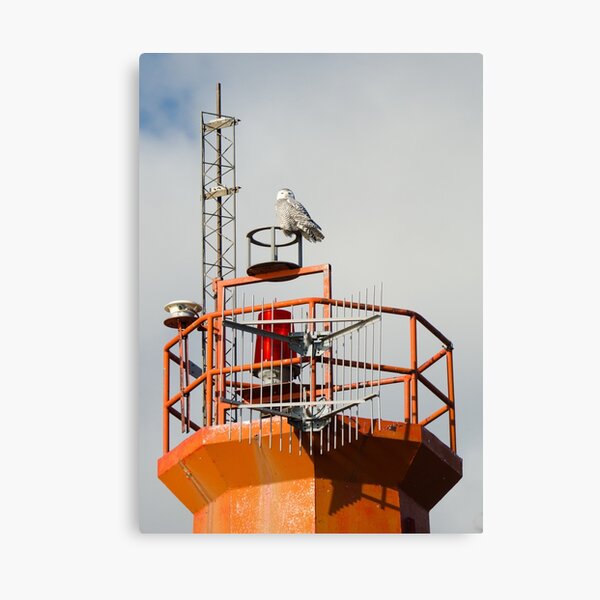 Snowy Owl Perched Atop Lighthouse Canvas Print