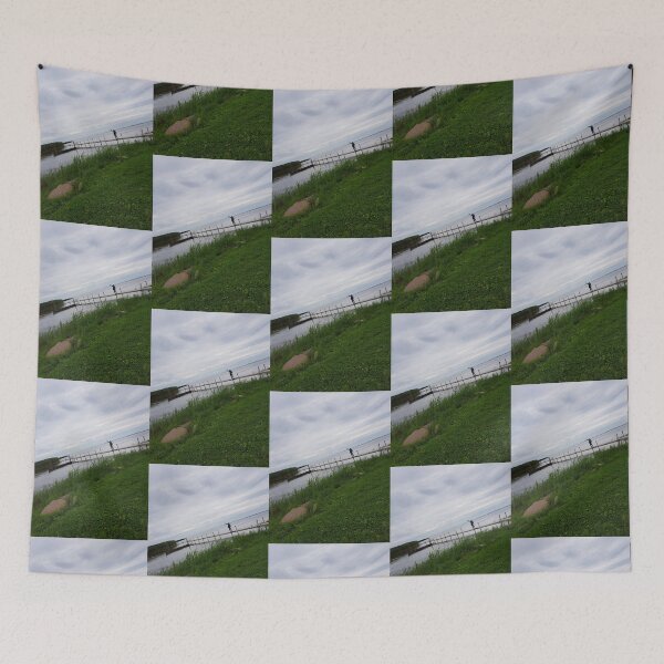 Item preview, Lake, Lithuania, landscape designed and sold by Sternchen2789.
