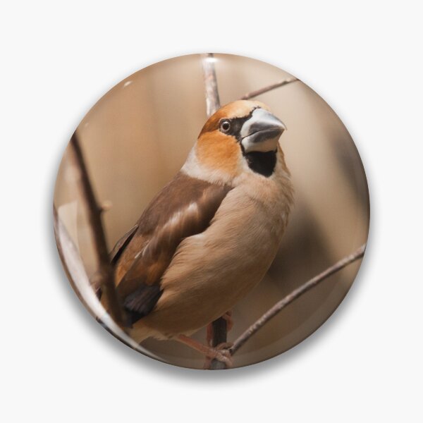 Item preview, Hawfinch designed and sold by Dominika Aniola.