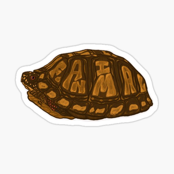 Fanimal Eastern Box Turtle Sticker
