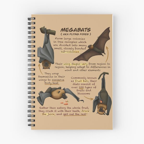 Item preview, Megabat Fun Animal Fruit Bat Facts designed and sold by troyanthonyart.