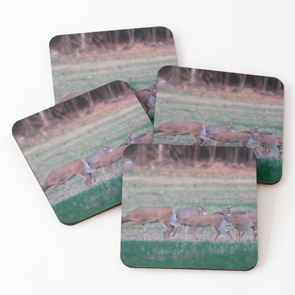 Item preview, Mom but I want to stay. Virginia deer designed and sold by Jouko Lehto Photography.