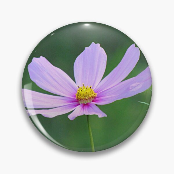Item preview, Cosmos flower pink, blossom, flowers, floral designed and sold by rhnaturestyles.