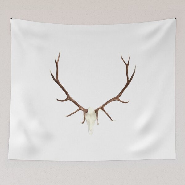 Item preview, European Elk Mount designed and sold by sd749.