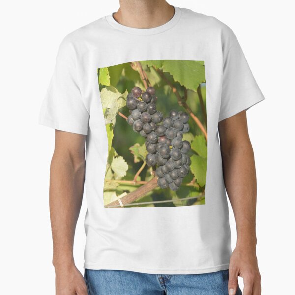 Black grapes on the vine Classic T-Shirt