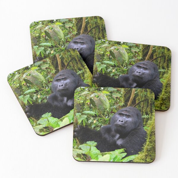 Item preview, Gorila de montaña de espalda plateada en la Selva Impenetrable de Bwindi, Uganda designed and sold by electricimage.