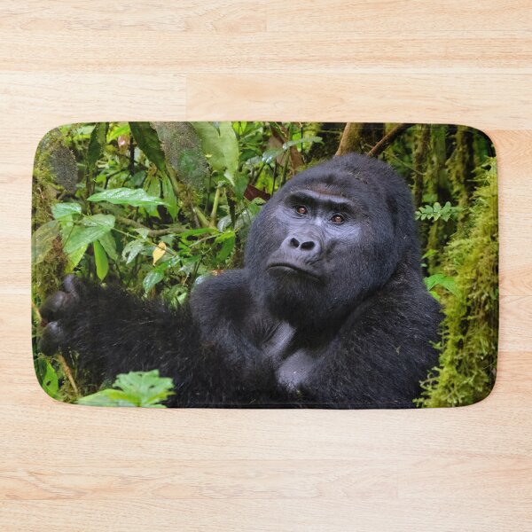 Item preview, Silverback mountain gorilla at Bwindi Impenetrable Forest, Uganda designed and sold by electricimage.