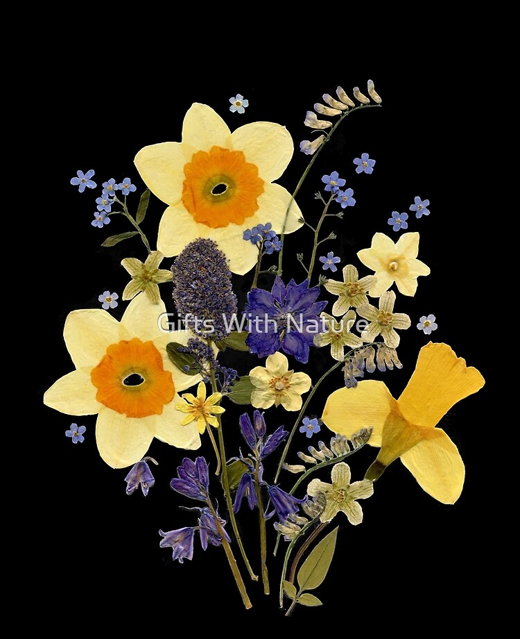 Funda y vinilo para iPad «Ramo de primavera de flores secas prensadas» de  salomeja | Redbubble