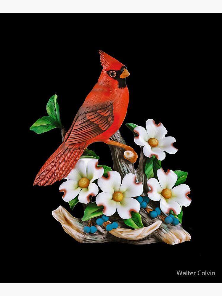 Northern Cardinal and Dogwood Flower. by Skyviper