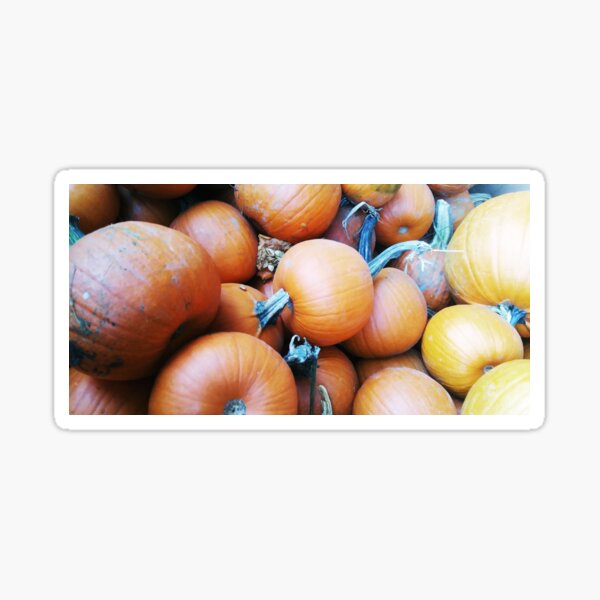 Item preview, Pie Pumpkins, Autumn Orange, Nature Photography by Courtney Hatcher designed and sold by cghatcherart.