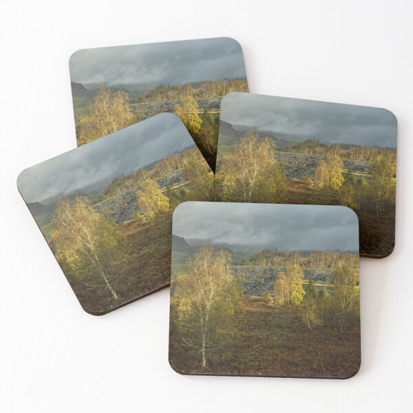 Item preview, Autumn Silver Birch Trees fill the Landscape at Hodge Close Quarry near Coniston.  designed and sold by Cameranick.