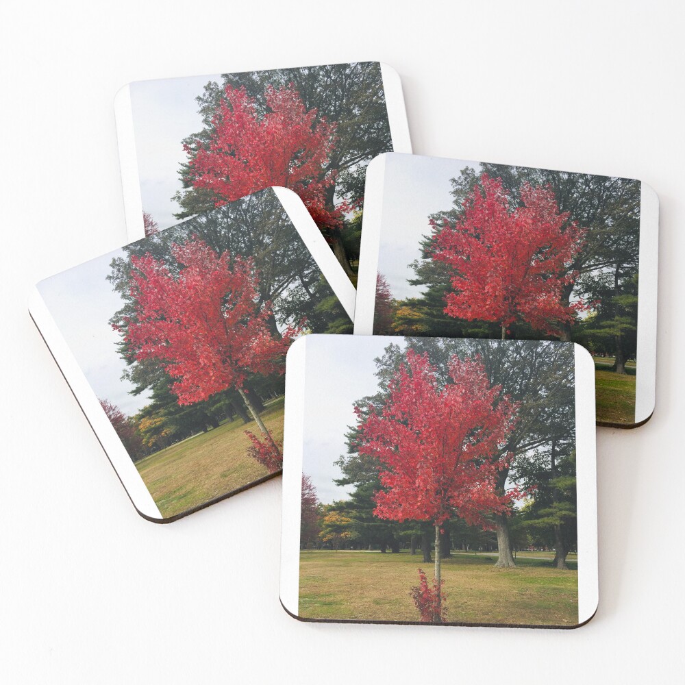 Item preview, Coasters (Set of 4) designed and sold by RitazMedia.