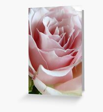 Rose Greeting Card