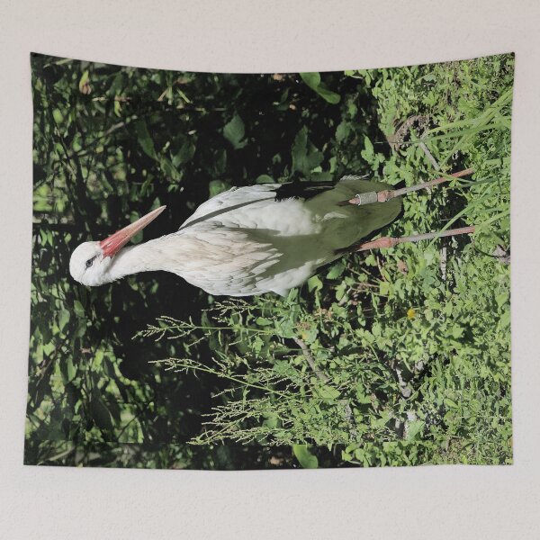 Item preview, r2465/ 19 parc-ornithologique-de-st-hilaire-la-palud - cigogne blanche -  2020 par Okaio Créations - Olavia&Olao designed and sold by o.okaïo.