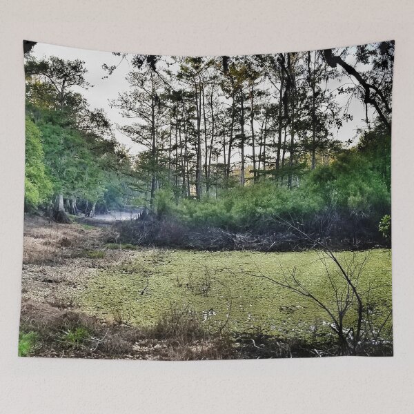 Item preview, Swampy and beautiful designed and sold by Dead-Moroz.