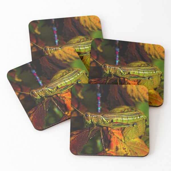 Item preview, GrassHopper in Fall designed and sold by Kitkatfoxx.