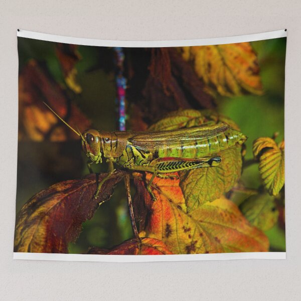 Item preview, GrassHopper in Fall designed and sold by Kitkatfoxx.
