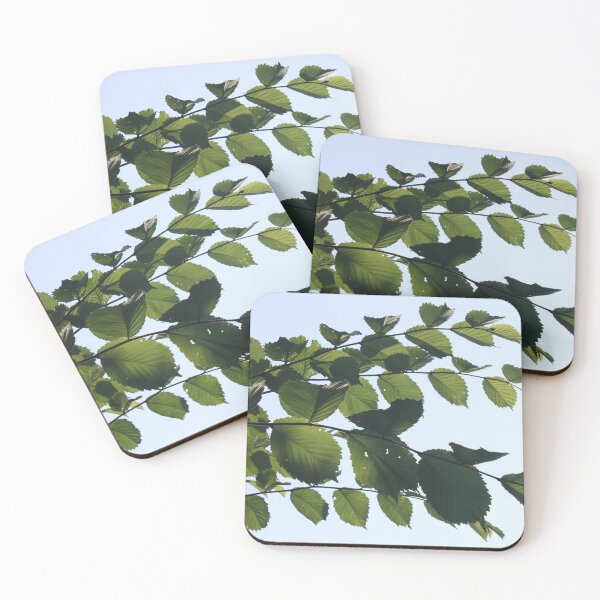 Item preview, Leaves against a sunny sky photographed by Emma Amies designed and sold by Emma  Amies.
