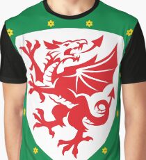Wales Dragon Graphic T-Shirt