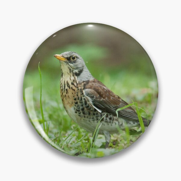 Item preview, Fieldfare designed and sold by Dominika Aniola.