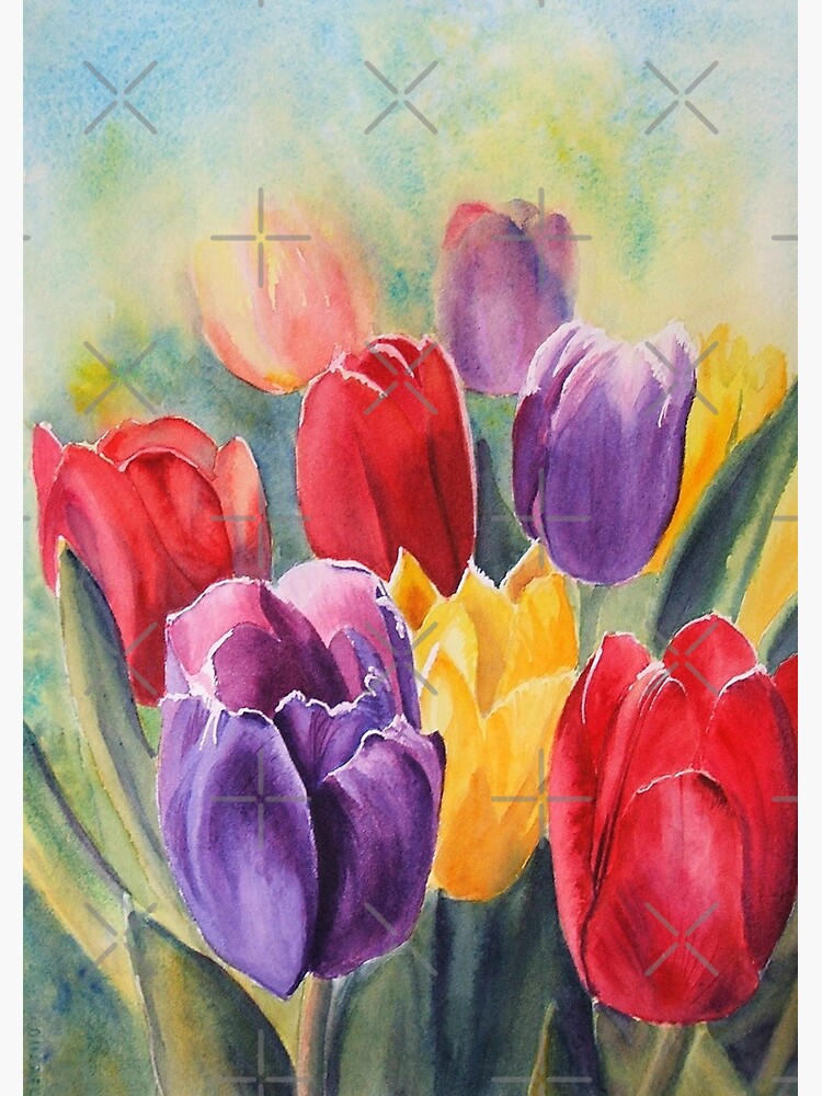 Tulip Rainbow by RSHarts