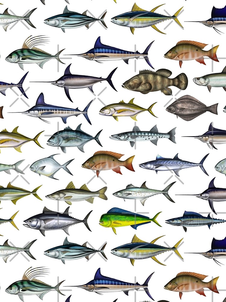 Sea Gamefish, Mahi, Snook, Marlin, Swordfish ,Sailfish, Tarpon - Digital drawing by (ANTARTOUTDOORS) by Antartoutdoors1