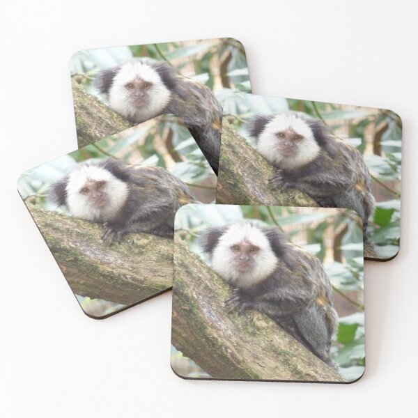 Item preview, White Faced Marmoset   designed and sold by Amanda1775.