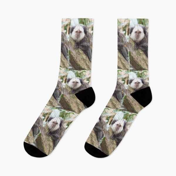 Item preview, White Faced Marmoset   designed and sold by Amanda1775.
