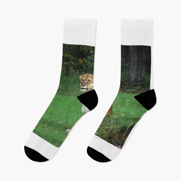 Item preview, Lionesses - Study III  designed and sold by BritishYank.