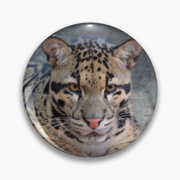 Item preview, Leopard Cub designed and sold by Savannah Gibbs.