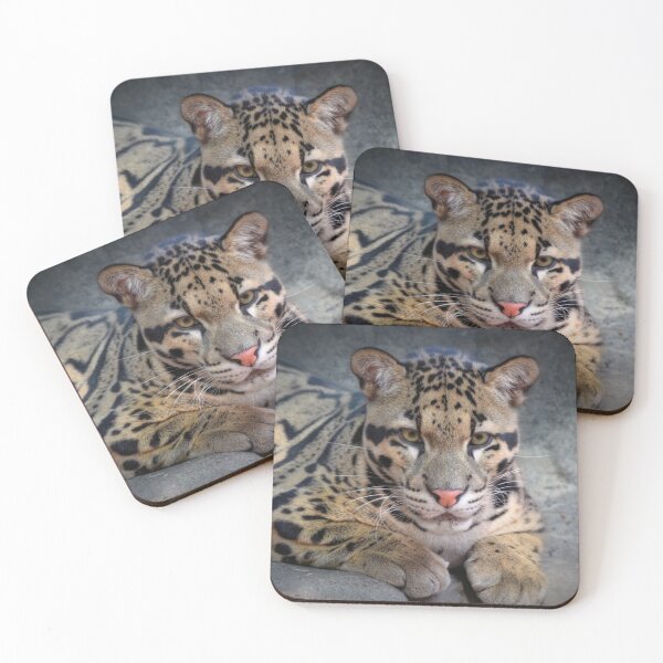 Item preview, Leopard Cub designed and sold by Savannah Gibbs.