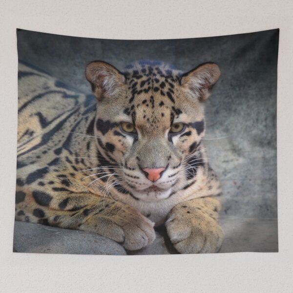 Item preview, Leopard Cub designed and sold by Savannah Gibbs.