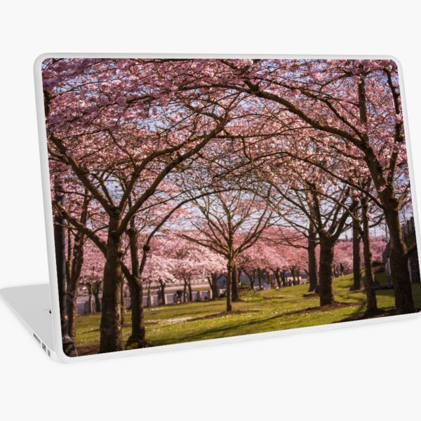Aperçu de l'œuvre Sakura City créée et vendue par JLPhotographer.